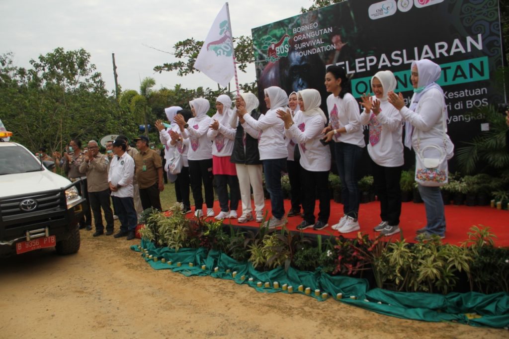 Adopsi Orang Utan, Ketua Umum Bhayangkari Beri Nama ‘Cinta’ 2 WhatsApp Image 2019 07 24 at 2.40.41 PM 1