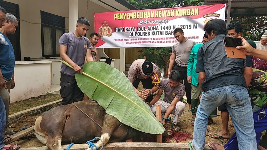 Hari Raya Idul Adha 1440 H, Polres Kubar Salurkan Hewan Kurban Untuk Warga WhatsApp Image 2019 08 11 at 13.08.33