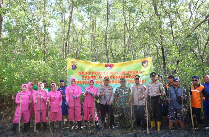 Peduli Penghijauan, Polres Penajam Tanam Bibit Pohon Mangrove 7 2