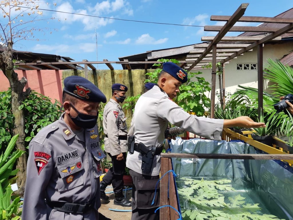 Kembangkan Ketahanan Pangan Ditengah Pandemi Covid-19, Brimob Kaltim Manfaatkan Lahan Kosong Untuk Budidaya Ikan Lele 4 6