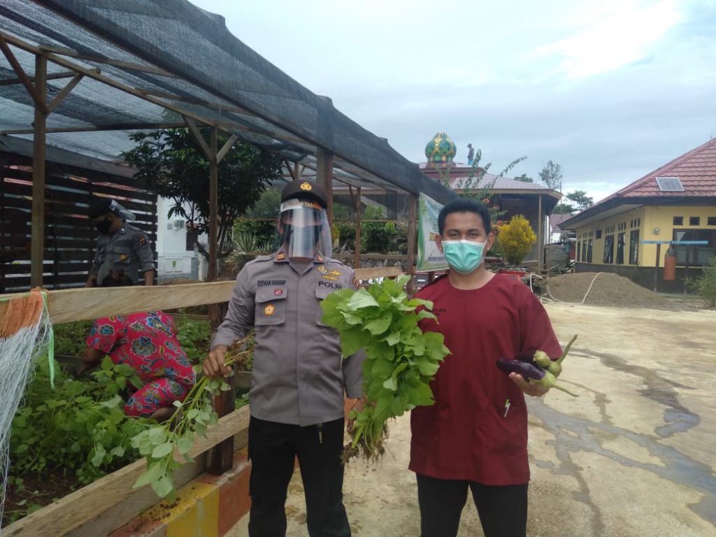 Jaga Ketahanan Pangan Ditengah Pandemi Covid-19, Polsek Tabalar Bagikan Hasil Kebun kepada Warga 19 5