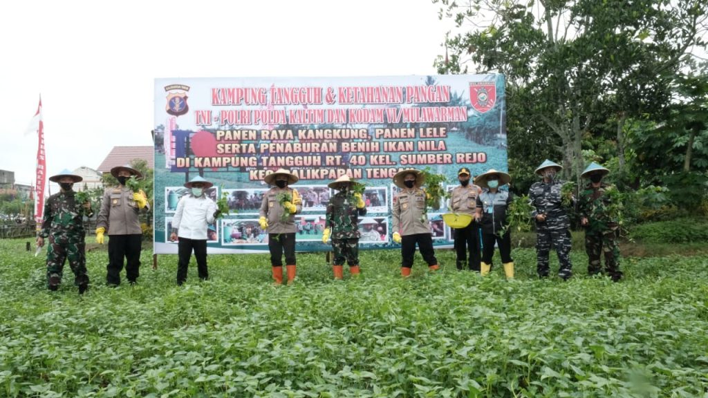24 1