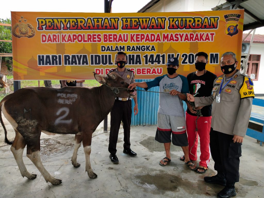 Hari Raya Idul Adha 1441 H, Polres Berau Serahkan Hewan Kurban kepada Masyarakat 5 12