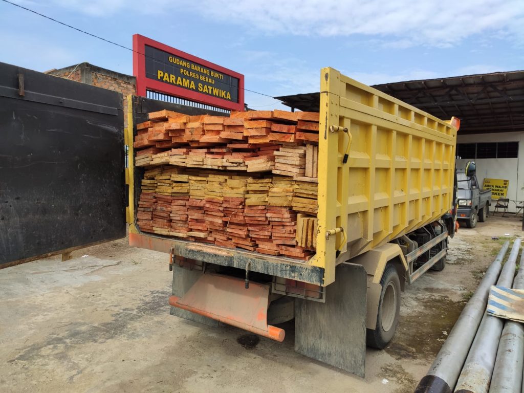 Polres Berau Berhasil Amankan 4,5 Kubik Kayu Ilegal 14 5