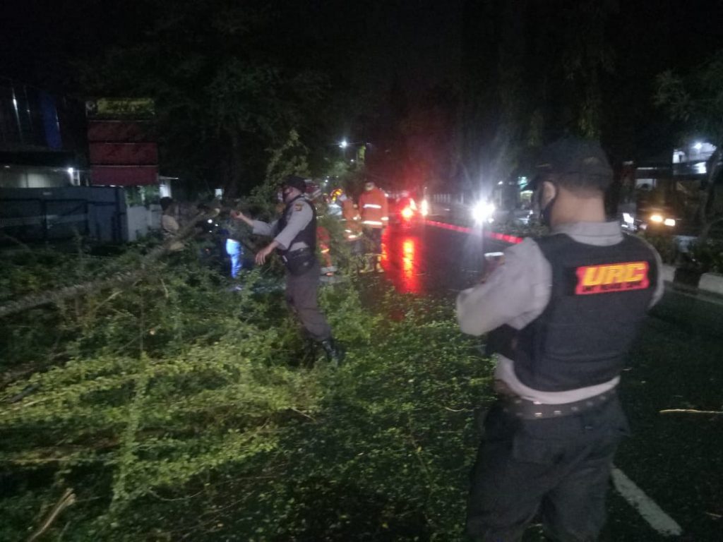 Sigap, Polisi Bantu Evakuasi Pohon Tumbang di Balikpapan WhatsApp Image 2020 08 01 at 10.05.25 AM