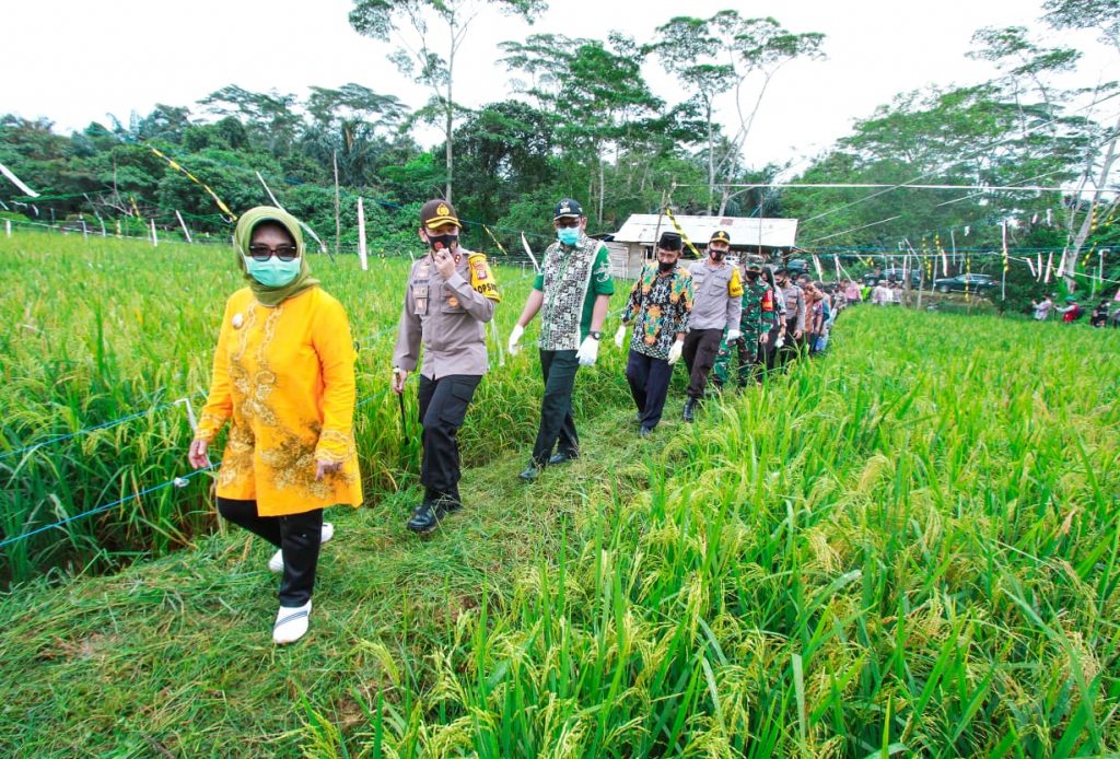 Tingkatkan Ketahanan Pangan, Kapolres Bontang Launching Kampung Tangguh Nusantara WhatsApp Image 2020 08 29 at 08.15.45