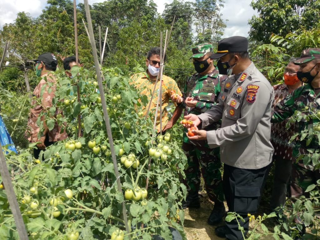 Jaga Ketahanan Pangan Ditengah Pandemi, Polres Bontang Launching Kampung Tangguh Covid-19 7 3