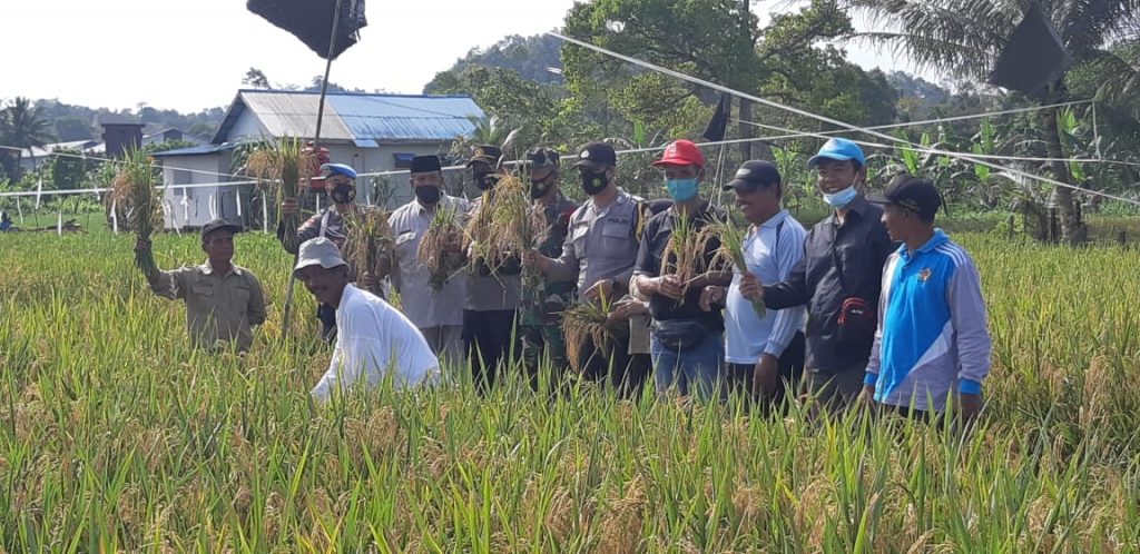 Polsek Loa Janan Gelar Panen Raya Bersama Warga di Kampung Tangguh Etam WhatsApp Image 2021 03 10 at 8.38.19 AM