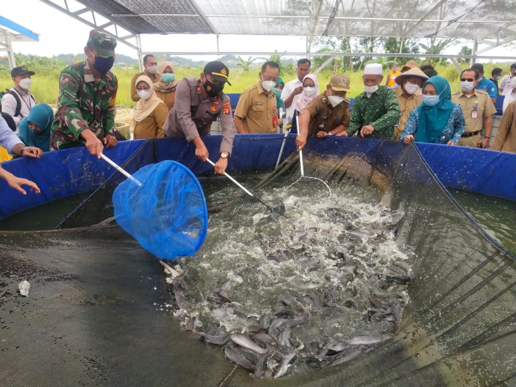 Wujud Ketahanan Pangan, Polsek Palaran Ikut Panen Raya Ikan Bersama Dinas Perikanan Kota Samarinda WhatsApp Image 2021 03 31 at 11.47.19 AM