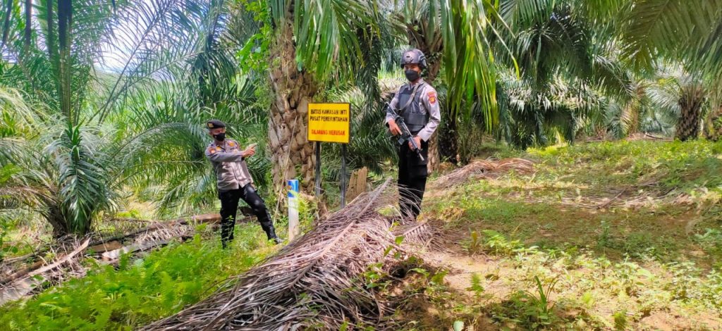 Jaga Kondusifitas, Personil Satgas Ops Nusantara Polda Kaltim Laksanakan Patroli Peninjauan Pembangunan IKN WhatsApp Image 2022 03 11 at 10.24.56