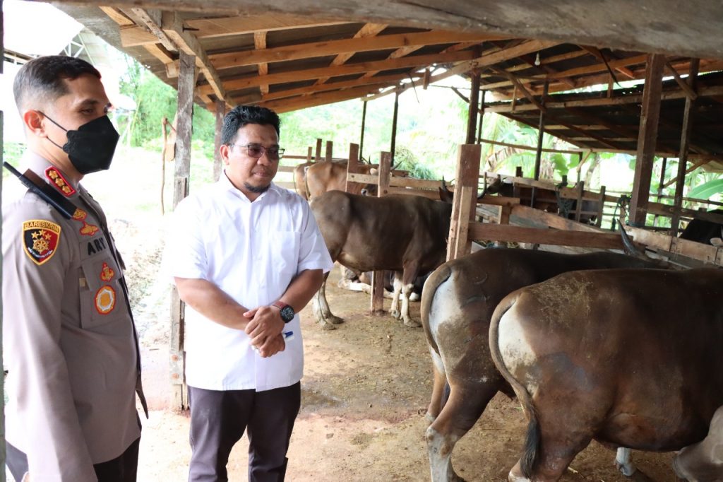 Cegah Wabah Virus PMK, Kapolresta Samarinda Blusukan ke Kandang Ternak WhatsApp Image 2022 05 27 at 19.46.39