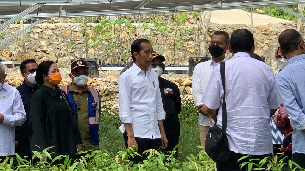 Wujudkan Green City di Ibu Kota Nusantara, Presiden RI Tinjau Persemaian Mentawir WhatsApp Image 2022 06 22 at 15.43.22