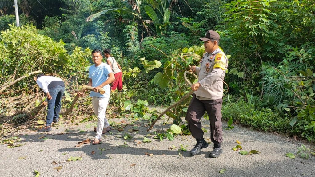 Polsek Tabalar Bantu Warga Evakuasi Pohon Tumbang WhatsApp Image 2022 07 12 at 13.55.12