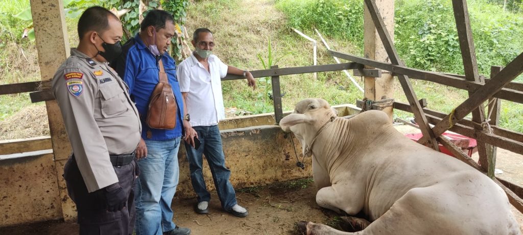 Anggota Bhabinkamtibmas Polsek Tenggarong Cek Hewan Ternak di RPH Mangkurawang Tenggarong WhatsApp Image 2022 09 09 at 08.41.52