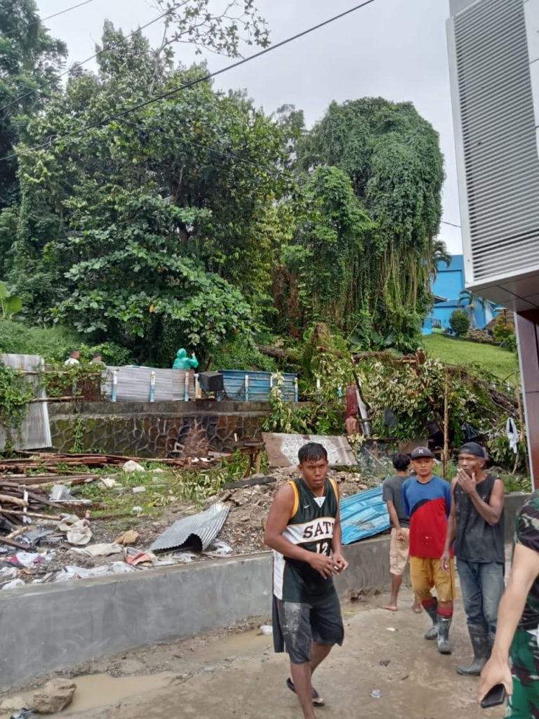 korban pohon tumbang 2
