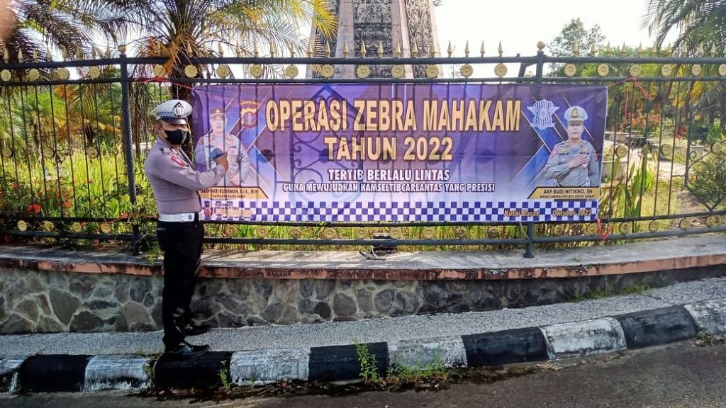 kubar zebra 1