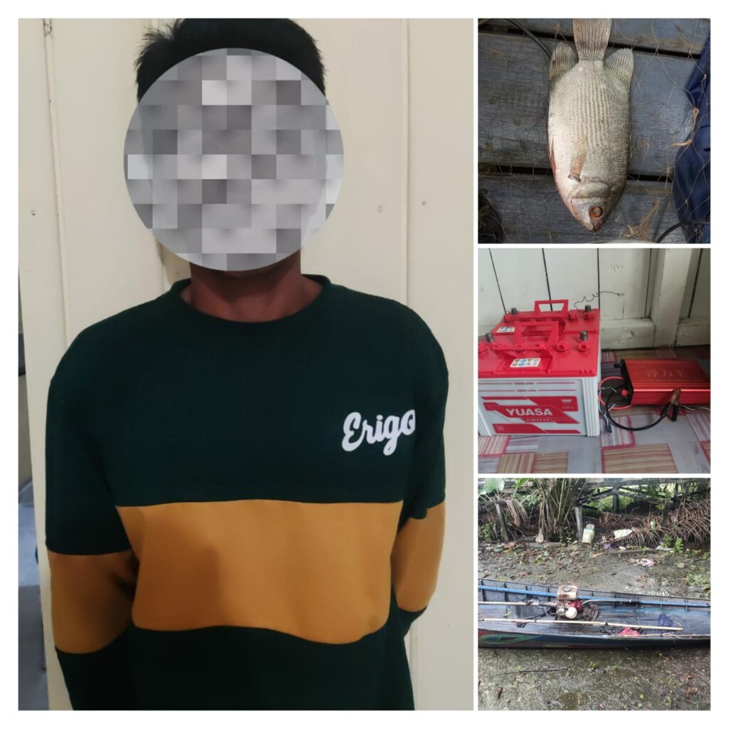 09455D09 072D 4B03 825D 5FED749E2206