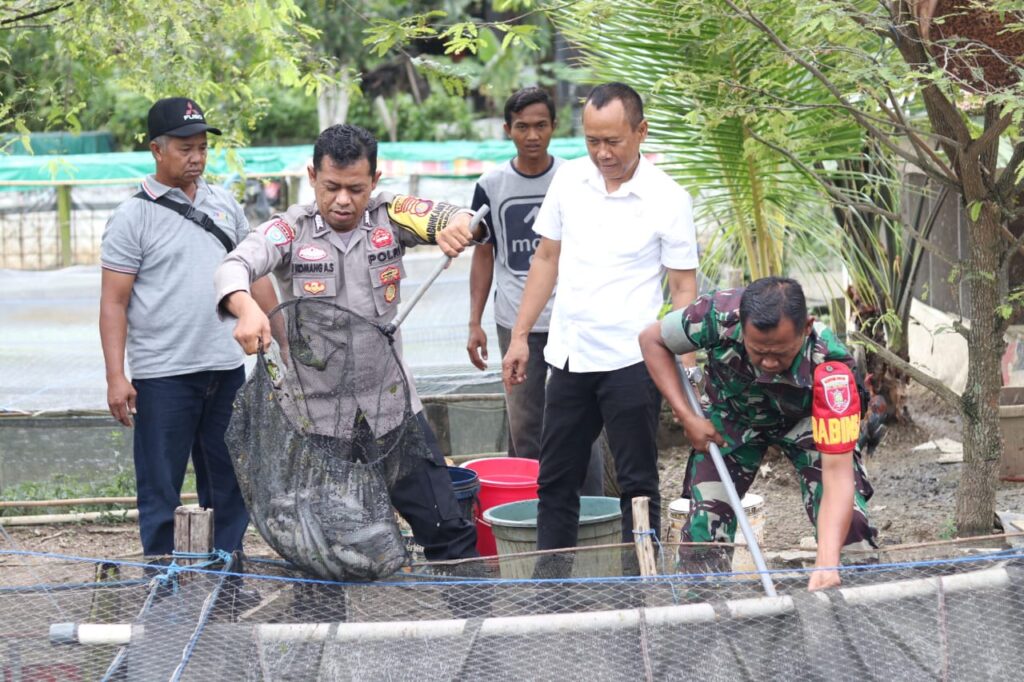 Bripka Komang Bersama Tiga Pilar, Kokohkan Ketahanan Pangan Lewat Budidaya Ikan WhatsApp Image 2023 01 25 at 09.48.47