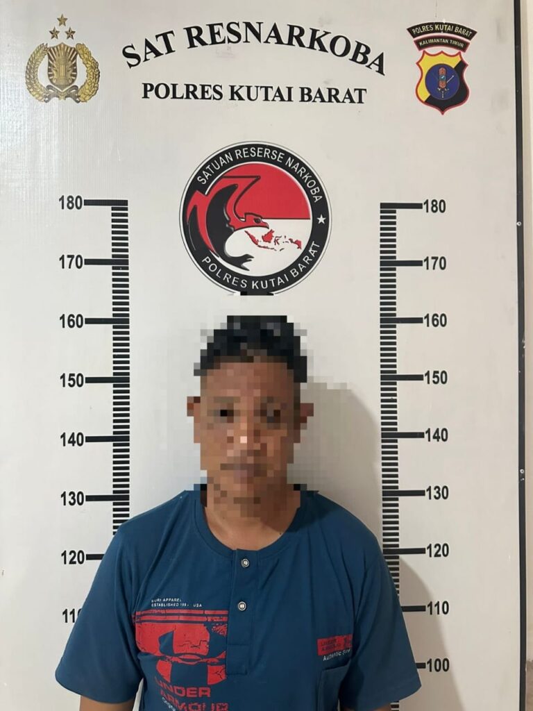 Sat Resnarkoba Polres Kutai Barat berhasil mengamankan seorang pelaku tindak pidana narkotika hbu
