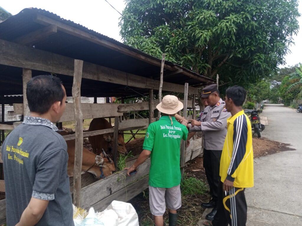 Antisipasi Virus PMK, Polsek Penyinggahan Cek Hewan Ternak Warga WhatsApp Image 2023 03 15 at 14.36.18