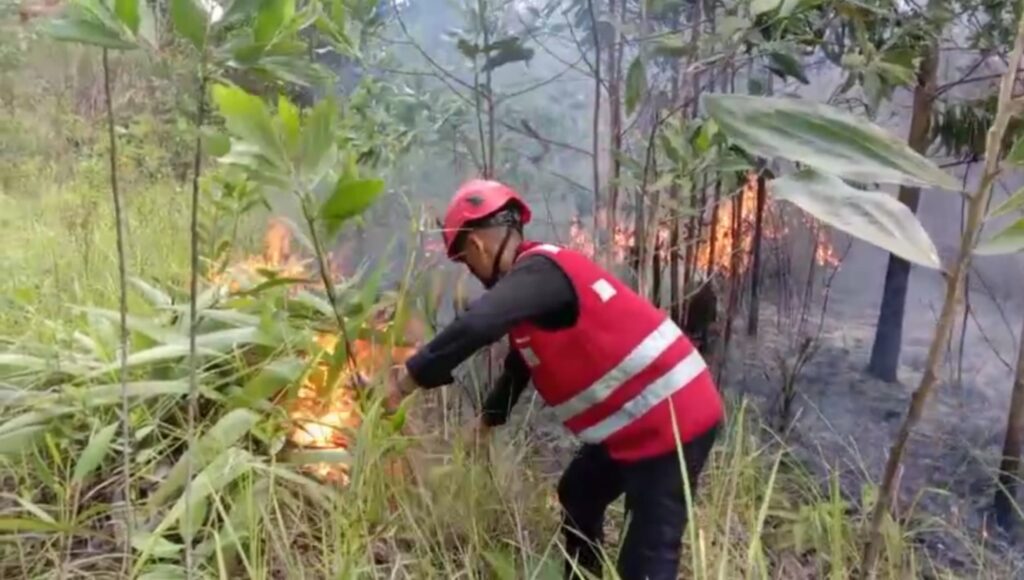 Respon Cepat, Personil Batalyon A Pelopor Satbrimob Kaltim Padamkan Karhutla Di Sepinggan WhatsApp Image 2024 04 16 at 06.45.23 1