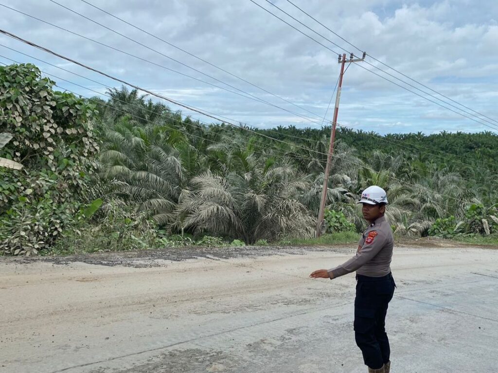 Wujudkan Sitkamtibmas Yang Aman Dan Kondusif, Personil Satgas Ops.Nusantara Mahakam Gelar Patroli Secara Intensif Di Kawasan Pembangunan Ibu Kota Nusantara WhatsApp Image 2024 06 15 at 07.56.30