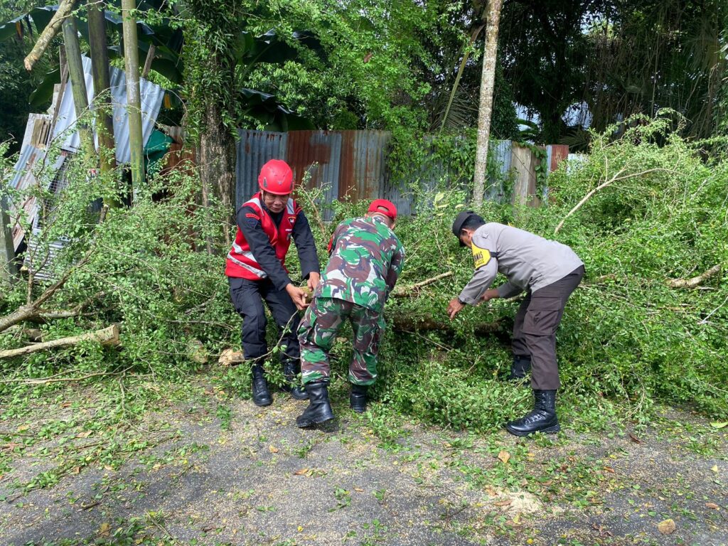 Brimob Batalyon A Evakuasi Pohon Tumbang, Akibat Angin Kencang di Jl. Beller Balikpapan WhatsApp Image 2024 08 21 at 10.44.10 0e60b24f