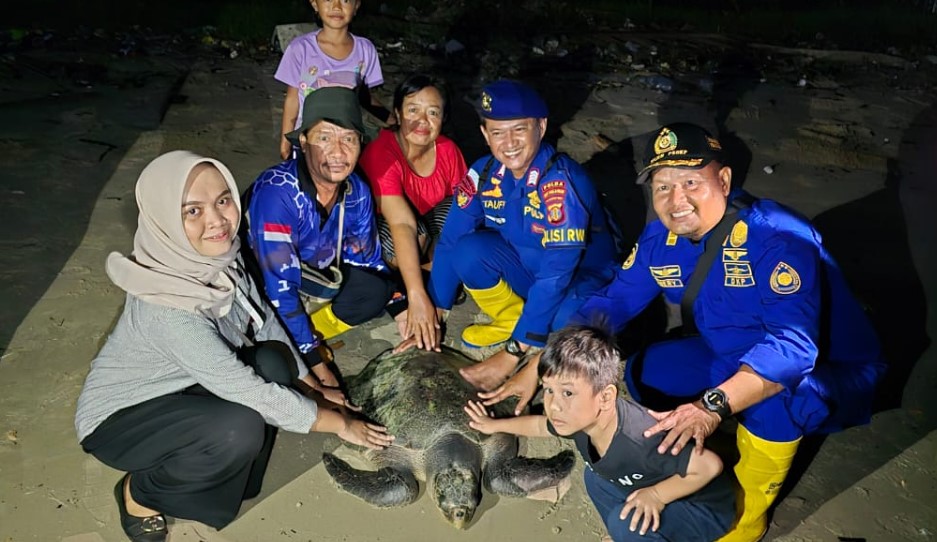 Bersama Dinas Perikanan, Personel Dit Polairud Lepaskan Penyu Lekang di Perairan Balikpapan polair