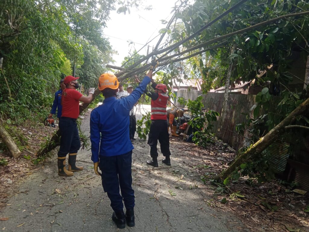 Tanggap Cepat, Personil Sat Brimob Polda Kaltim Bantu Evakuasi Pohon Tumbang di Batu Ampar Balikpapan WhatsApp Image 2024 10 17 at 11.31.56