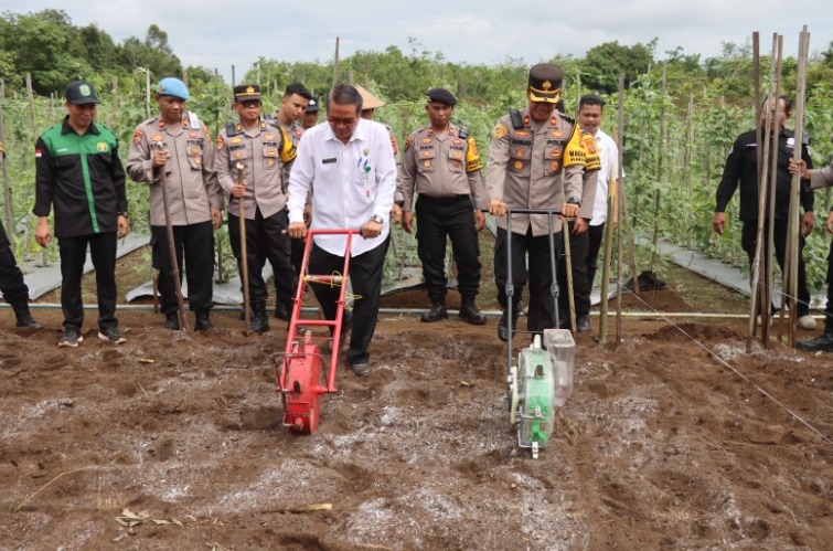 Polres Kutai Barat dan Dinas Pertanian Kab.Kubar Bersinergi, Dorong Ketahanan Pangan Lewat Penanaman Jagung WhatsApp Image 2024 11 07 at 11.58.21