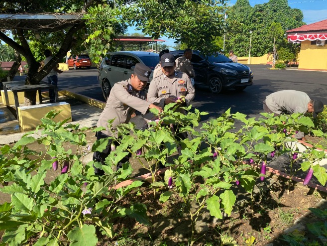 Dukung Program Ketahanan Pangan Bergizi, Polsek Tanah Grogot Lakukan Panen Sayuran di Pekarangan Pangan Lestari WhatsApp Image 2024 11 07 at 12.27.44