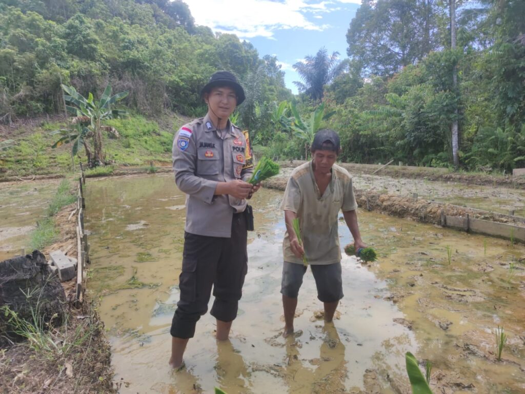 Dukung Program Asta Cita, Bhabinkamtibmas Kampung Long Apari Tinjau Ketahanan Pangan WhatsApp Image 2024 11 09 at 08.44.42 27df4623