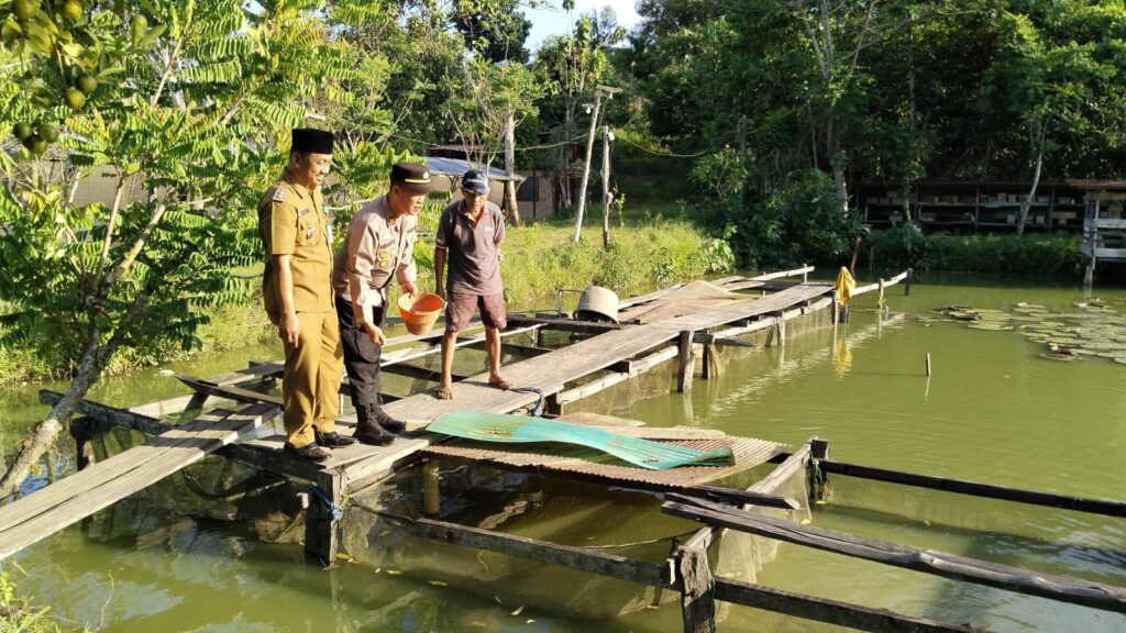 Dukung Program Asta Cita Presiden RI Guna Ketahanan Pangan, Polsek Bontang Barat dan Kelompok Ternak Berkah Jaya Gelar Penyortiran dan Pemberian Pakan Budidaya Ikan Ternak WhatsApp Image 2024 11 14 at 11.06.19