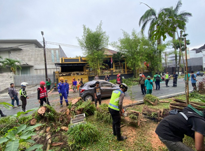 Respon Cepat, Tim Pammat Ditsamapta Polda Kaltim Evakuasi Pohon Tumbang di Kawasan Balikpapan Baru WhatsApp Image 2024 11 19 at 14.12.27