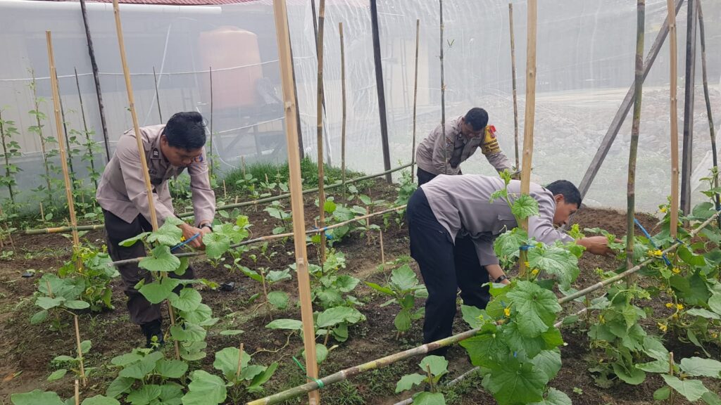 Polsek Bontang Utara Dukung Gerakan Pangan Merah Putih dengan Perawatan Media Tanam Menuju Swasembada Pangan WhatsApp Image 2024 12 12 at 12.27.05