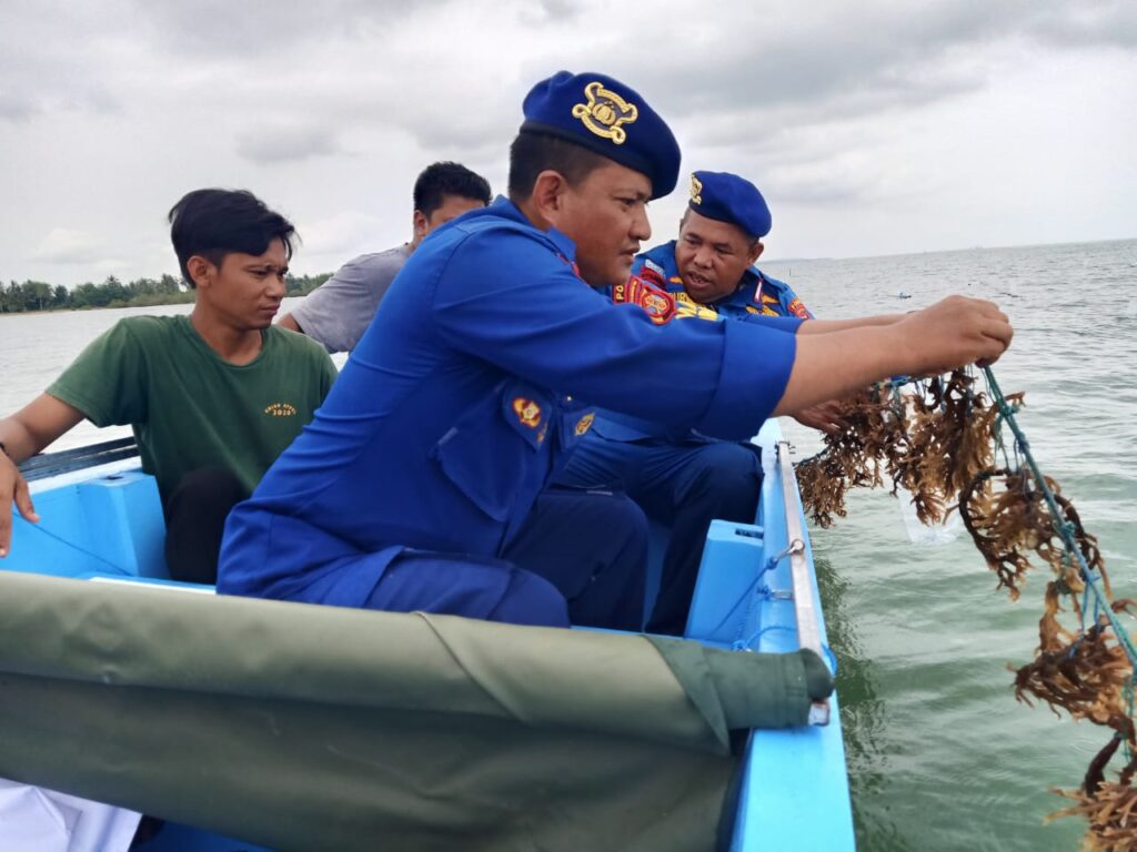 Personel Ditpolairud Polda Kaltim Dukung Program Ketahanan Pangan Melalui Budidaya Rumput Laut di Pesisir Teritip, Balikpapan Timur WhatsApp Image 2024 12 15 at 12.38.29 c3c9a9ff