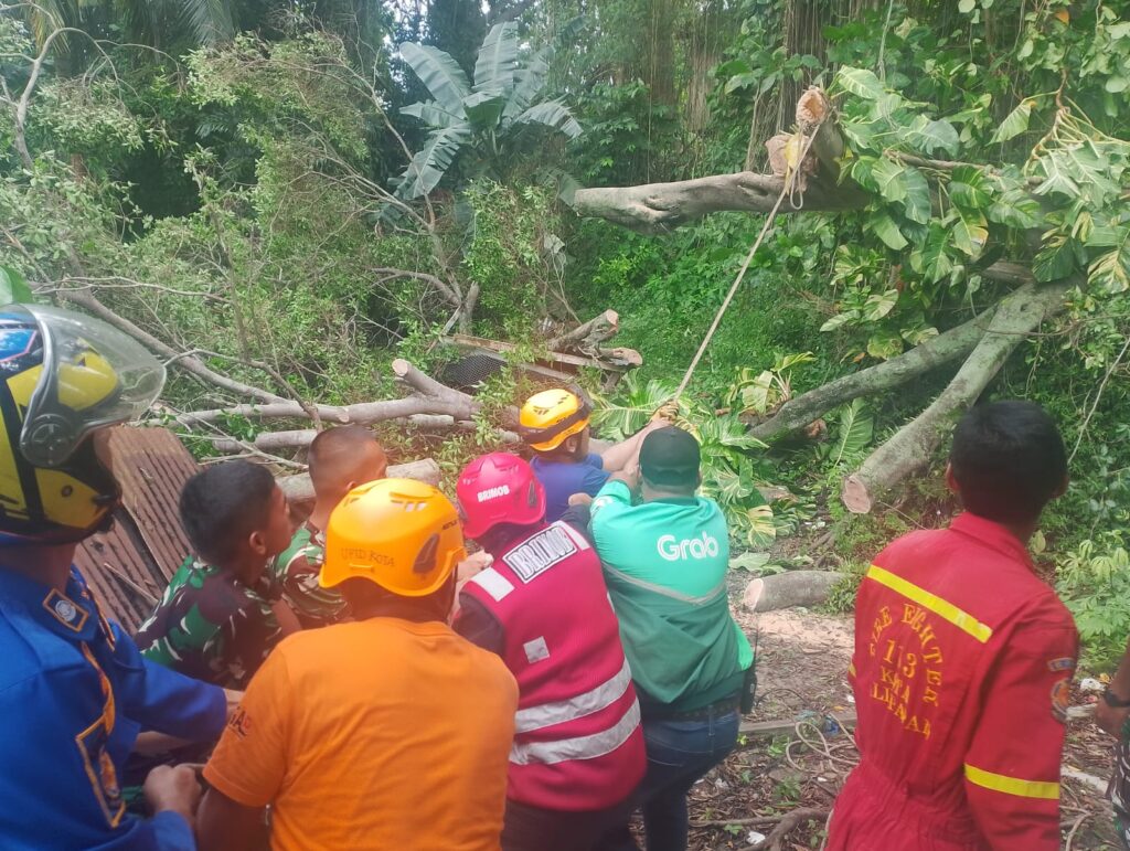 Gerak Cepat Respon Laporan Dari Masyarakat, Personil Batalyon A Pelopor Sat Brimob Polda Kaltim Evakuasi Pohon Tumbang di Telagasari Balikpapan WhatsApp Image 2024 12 17 at 14.33.07