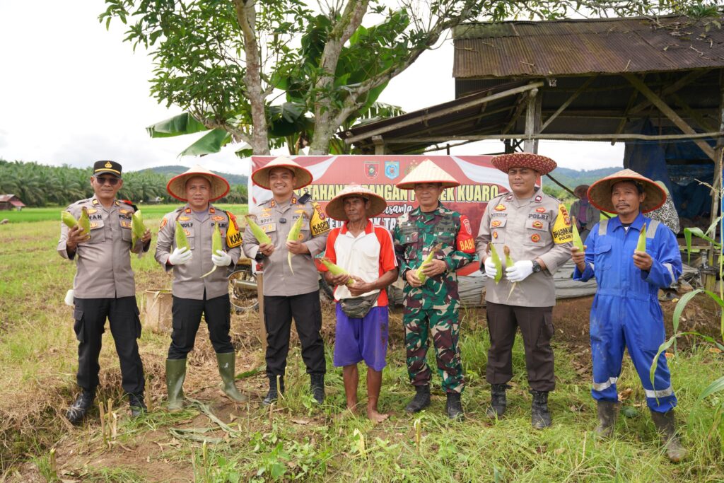 Kapolres Paser Hadiri Panen Jagung, Dukung Ketahanan Pangan Nasional WhatsApp Image 2024 12 26 at 11.17.55 8467679f