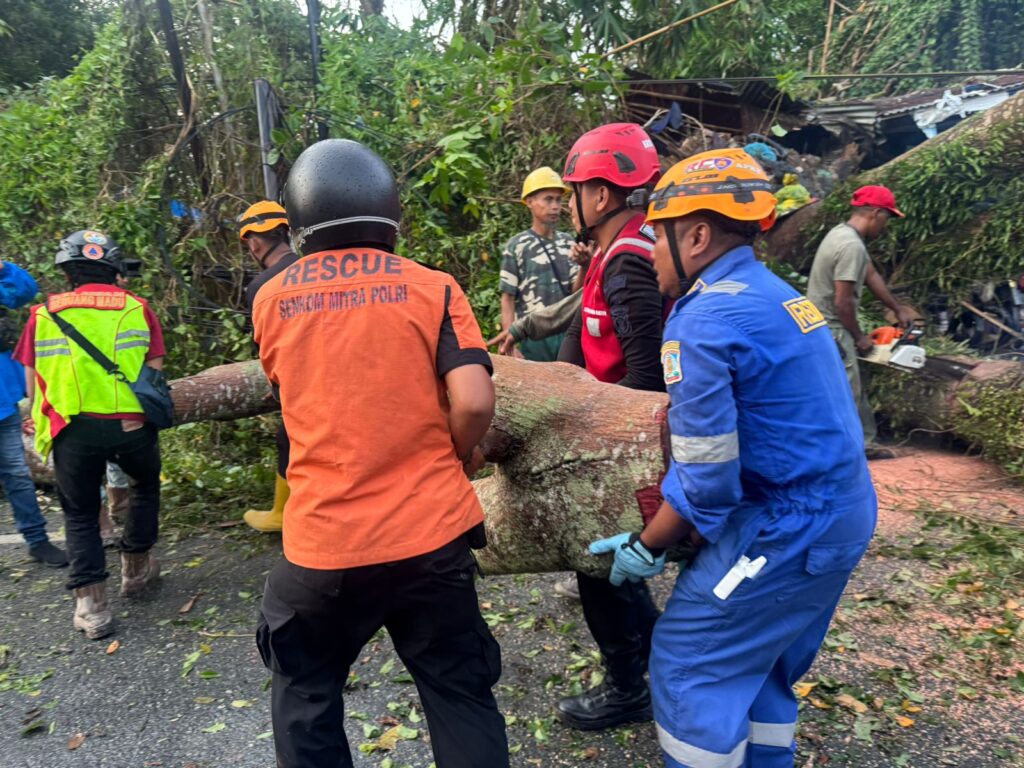 Gerak Cepat, Tim Respons Bencana Sat Brimob Polda Kaltim bersama BPBD Evakuasi Pohon Tumbang di Jalan Siaga Balikpapan WhatsApp Image 2024 12 29 at 13.18.17 4e2378dc
