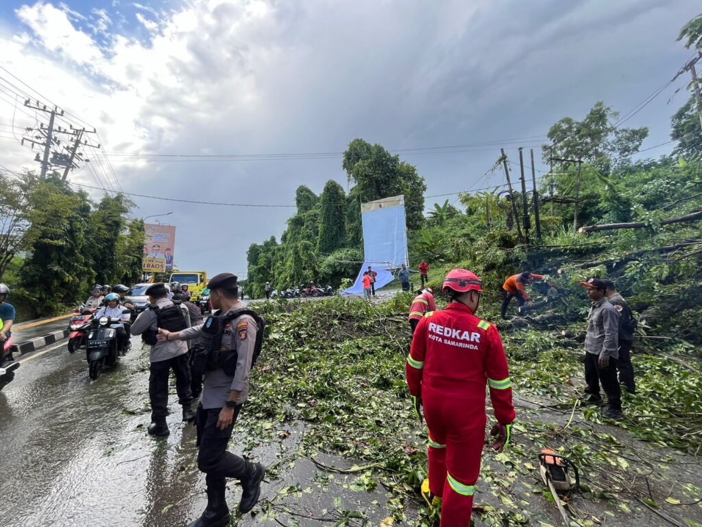 Respons Cepat Tim Patroli Beat 110 Polresta Samarinda Tangani Pohon Tumbang di Jalan Bhayangkara WhatsApp Image 2025 01 14 at 15.50.25 e19b45a6
