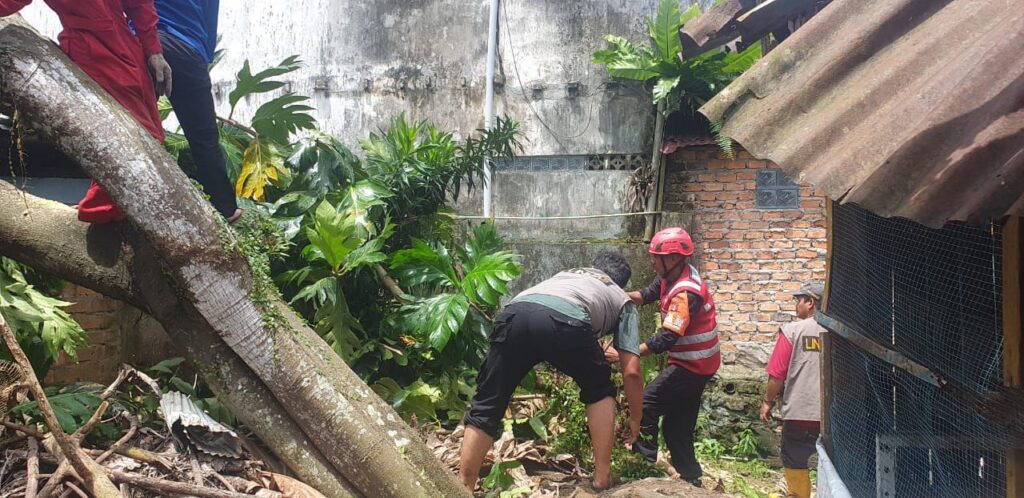 Brimob Batalyon A Pelopor Tangani Pohon Tumbang yang Rusak Rumah Warga di Balikpapan Permai WhatsApp Image 2025 01 23 at 11.11.24 30fdf405