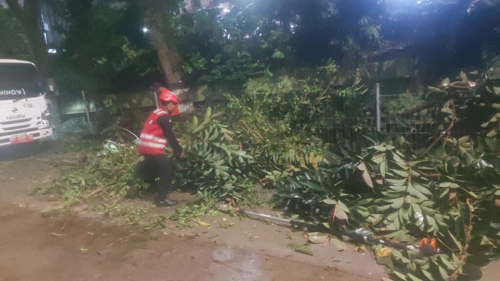 Brimob Kaltim Respons Cepat Evakuasi Pohon Tumbang di Jalan Soekarno Hatta KM. 1 Balikpapan WhatsApp Image 2025 01 28 at 11.33.14 81b31b2c