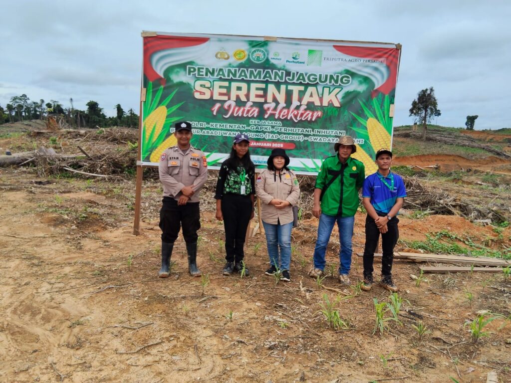 Dukung Program Asta Cita Presiden RI Bidang Ketahanan Pangan, Polsek Muara Ancalong bersama PT.Sawa Kolaborasi Tanam Jagung di Lahan 5 Hektar WhatsApp Image 2025 02 14 at 11.36.23