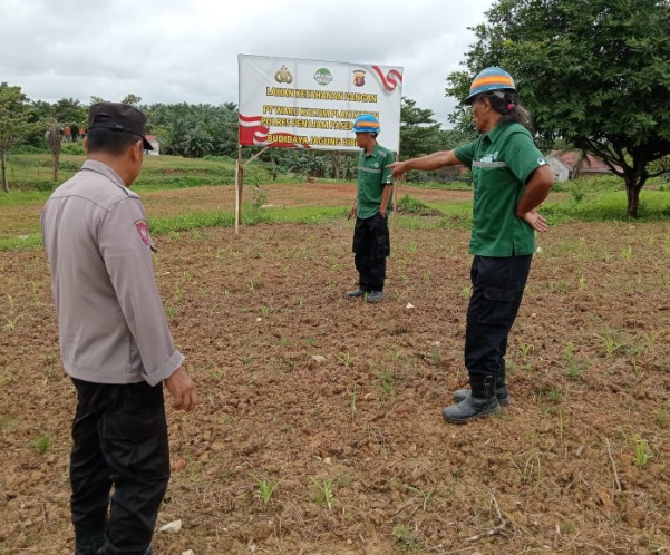 Dukung Program Ketahanan Pangan, Polsek Waru Lakukan Peninjauan Tanaman Jagung WhatsApp Image 2025 02 18 at 12.47.04