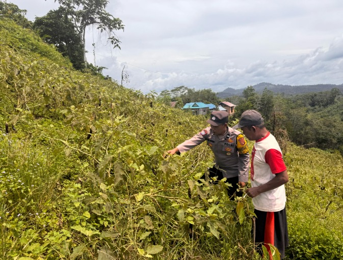 Dukung Program Asta Cita Presiden RI Bidang Ketahanan Pangan, Bhabinkamtibmas Polsek Kelay Lakukan Monitoring Lahan Pertanian di WIlayah Binaannya WhatsApp Image 2025 02 19 at 12.56.10