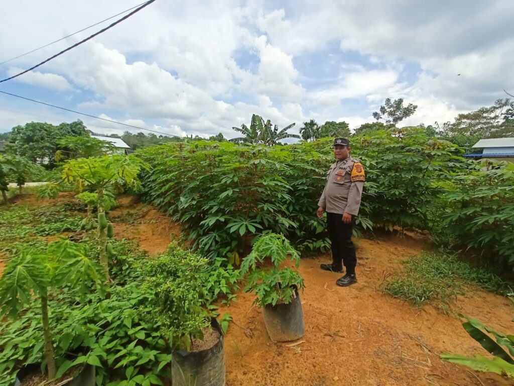 Dukung Program Ketahanan Pangan, Bhabinkamtibmas Kelurahan Handil Monitoring Ketahanan Pangan di Wilayah Binaannya WhatsApp Image 2025 02 23 at 00.44.04
