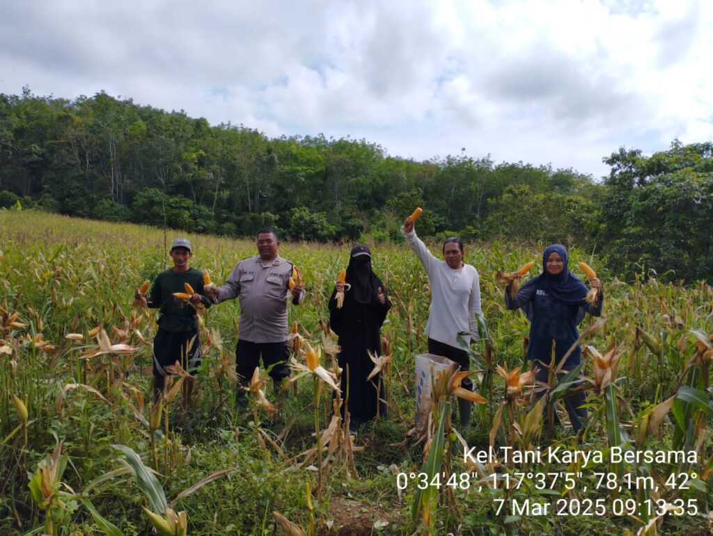 Personel Polsek Sangatta Utara Hadiri Panen Jagung Pipil Sebagai Wujud Dukung Program Ketahanan Pangan WhatsApp Image 2025 03 07 at 23.41.58 dc01bc53
