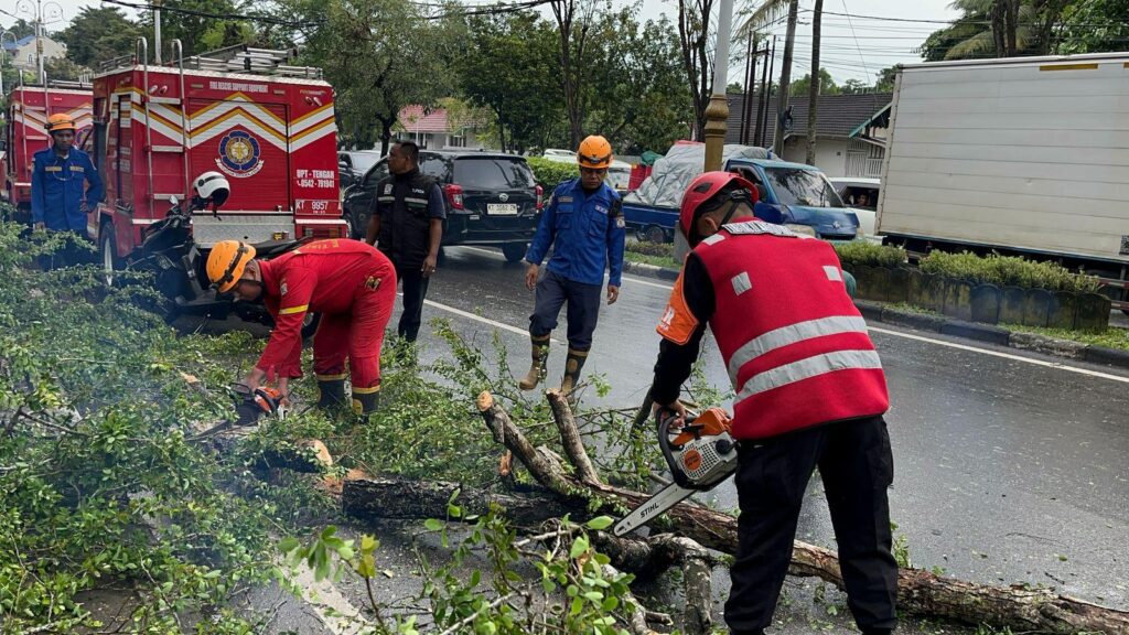 Curah Hujan Tinggi di Balikpapan, Tim SAR Brimob Cepat Tanggap Evakuasi Pohon Tumbang WhatsApp Image 2025 04 12 at 13.12.26
