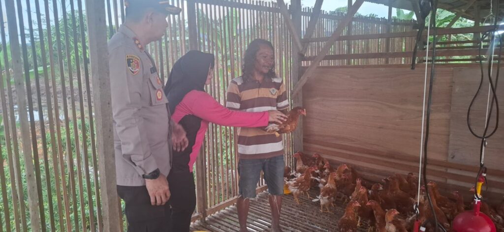 Kapolres Mahakam Ulu Tinjau Langsung Ketersediaan Ikan dan Ayam Guna Dukung Ketahanan Pangan WhatsApp Image 2025 04 12 at 17.24.31 6beecad1