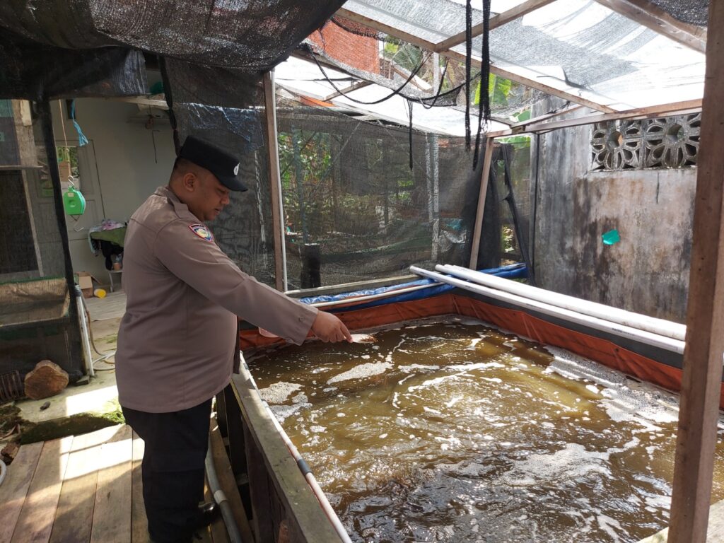 Bhabinkamtibmas Tanjung Laut Indah Dukung Ketahanan Pangan Melalui Pendampingan Budidaya Ikan Air Tawar WhatsApp Image 2025 04 22 at 08.51.51 709721a8